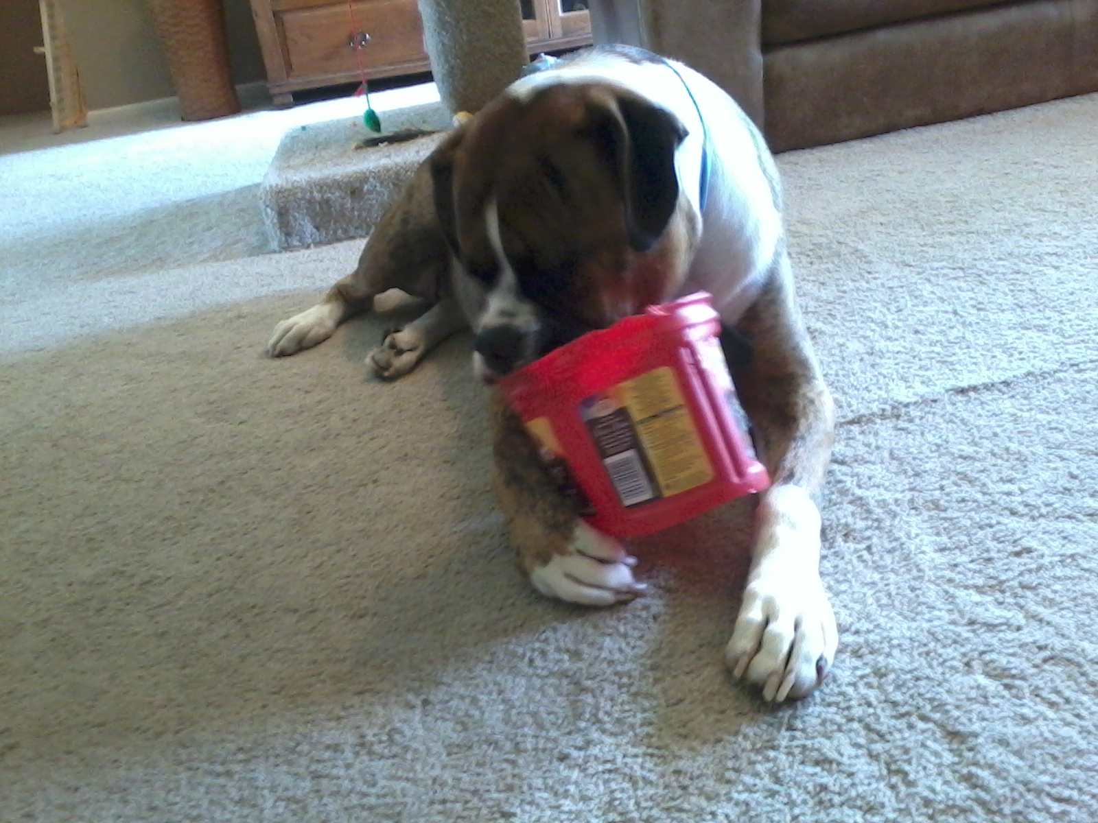 Paxton's coffee can 001