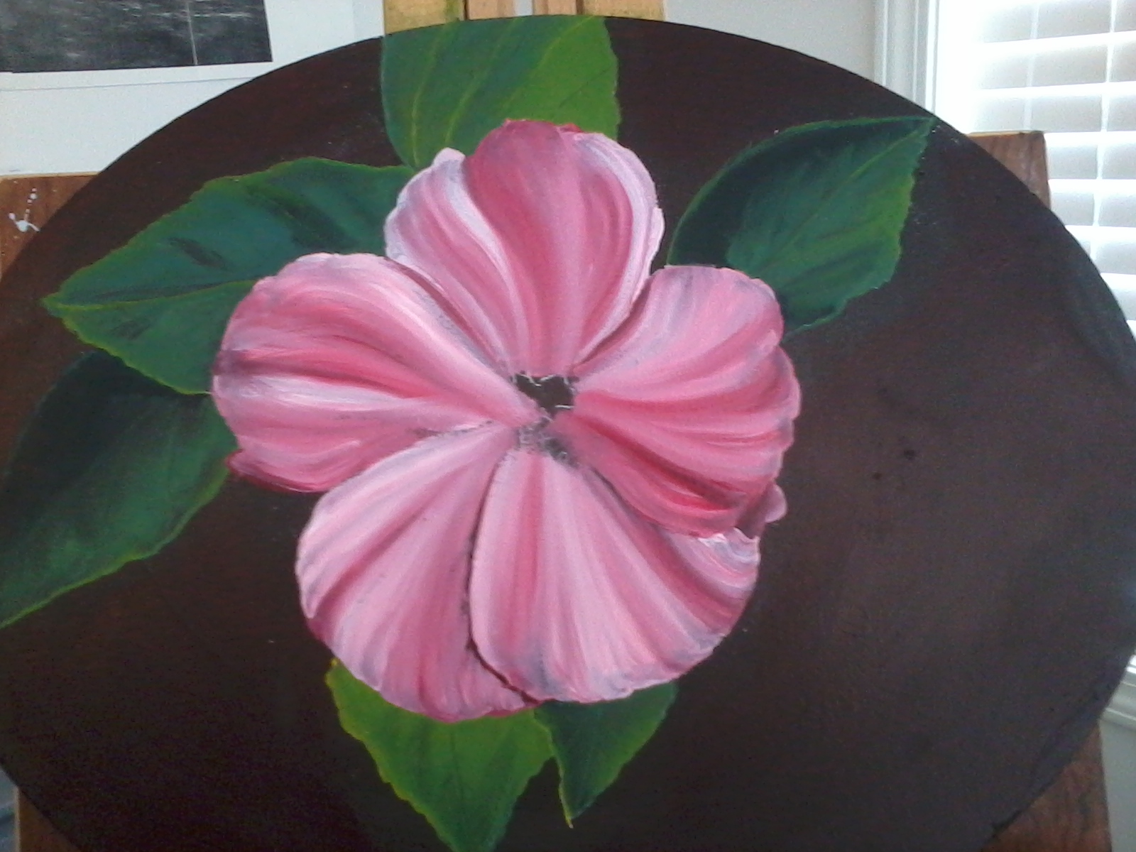 hibiscus 001 Hibiscus beginnings