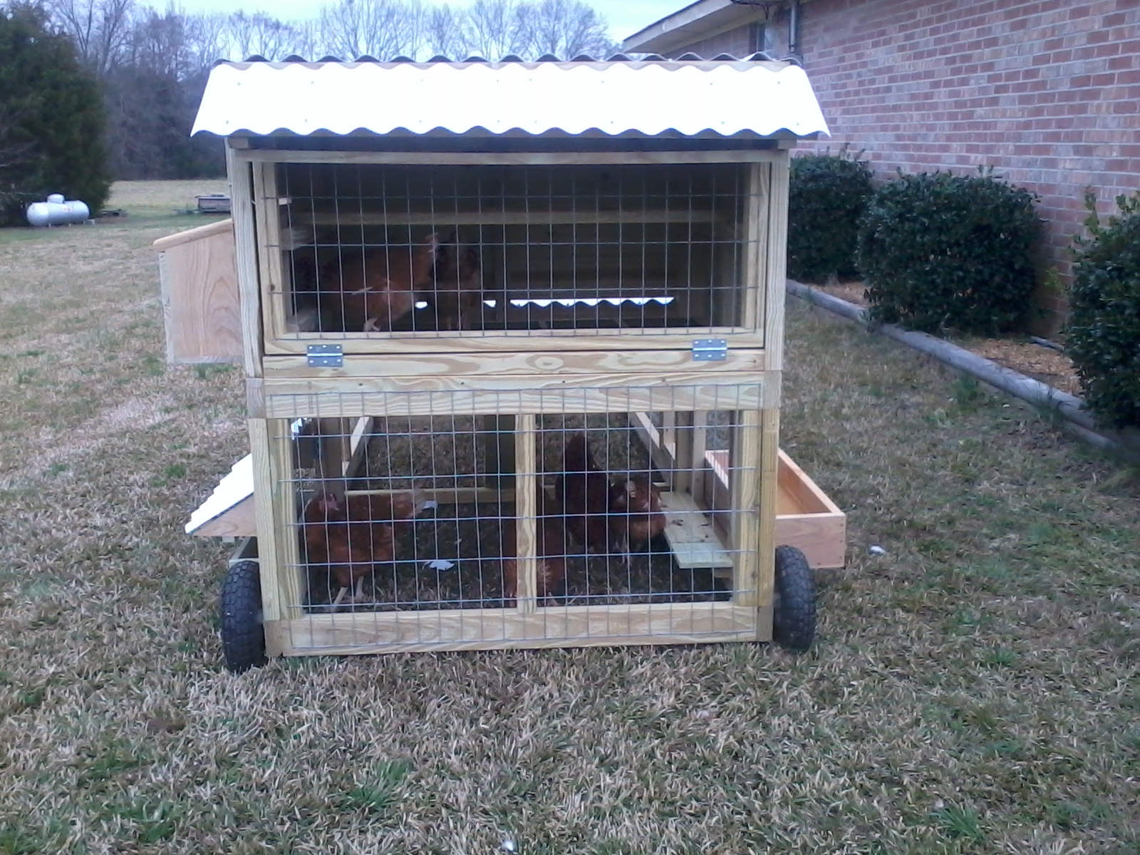 chicken tractor pics 003