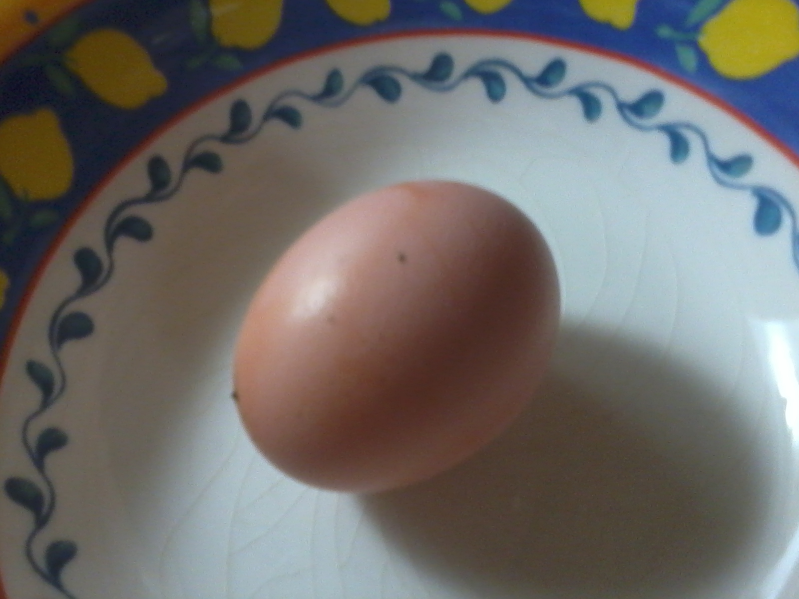 first egg 001