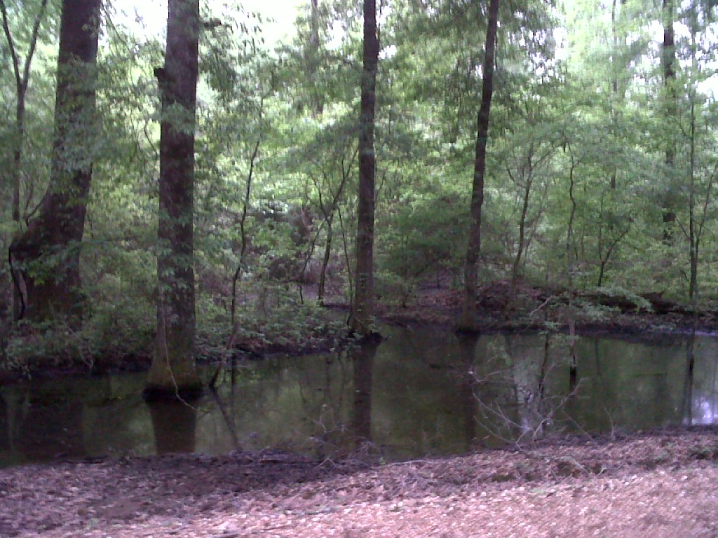IMG00810-20130424-0805