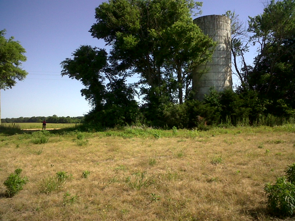IMG00826-20130513-0906
