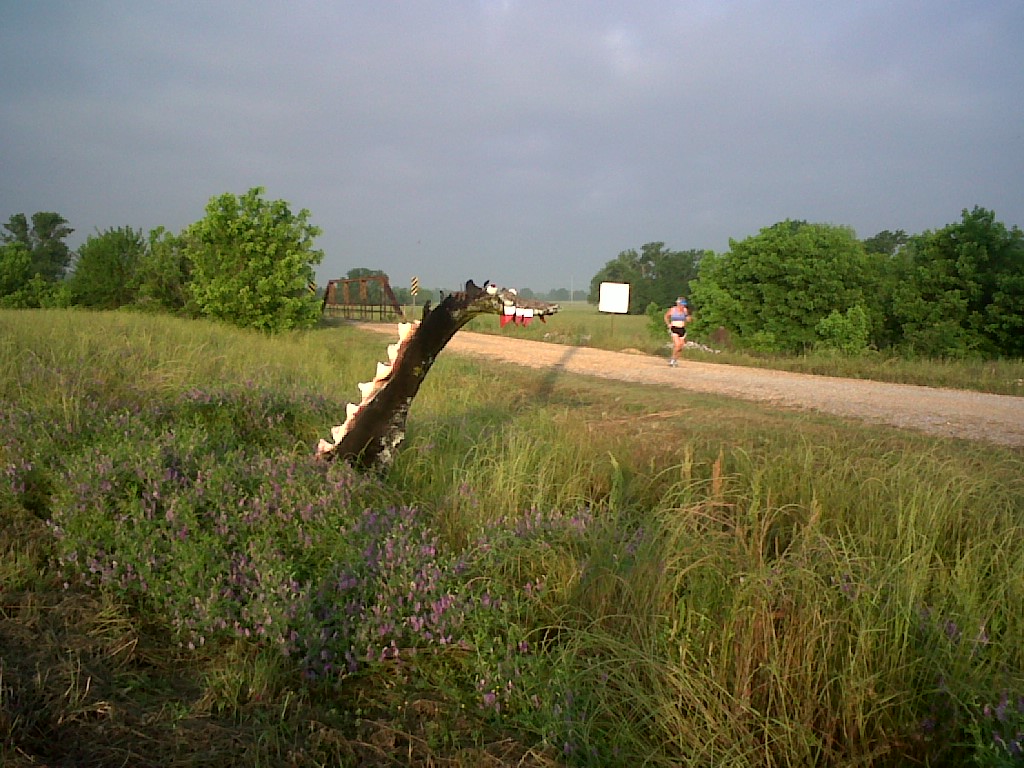 IMG00830-20130520-0643