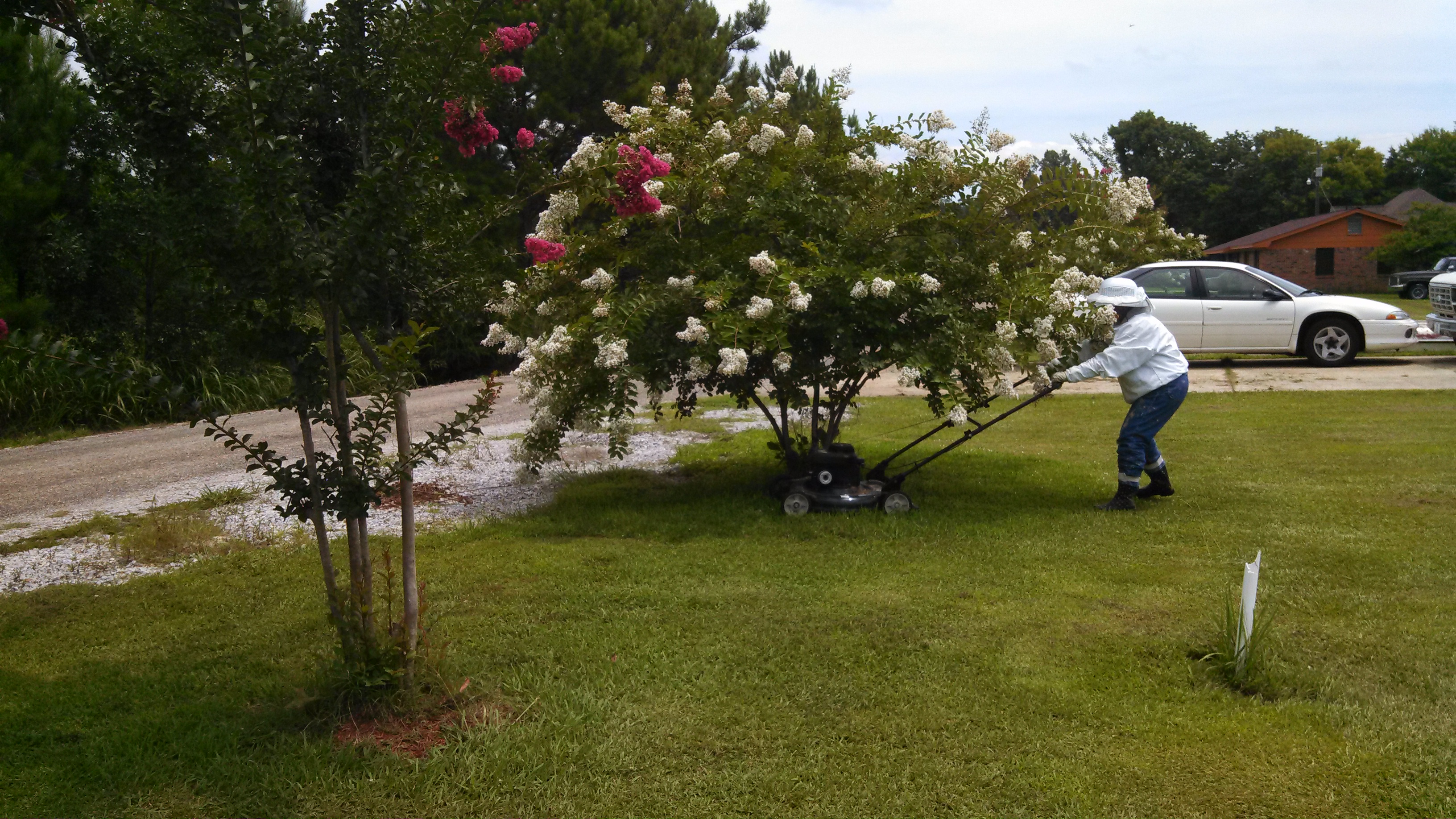 IMG_20130726_121547_926