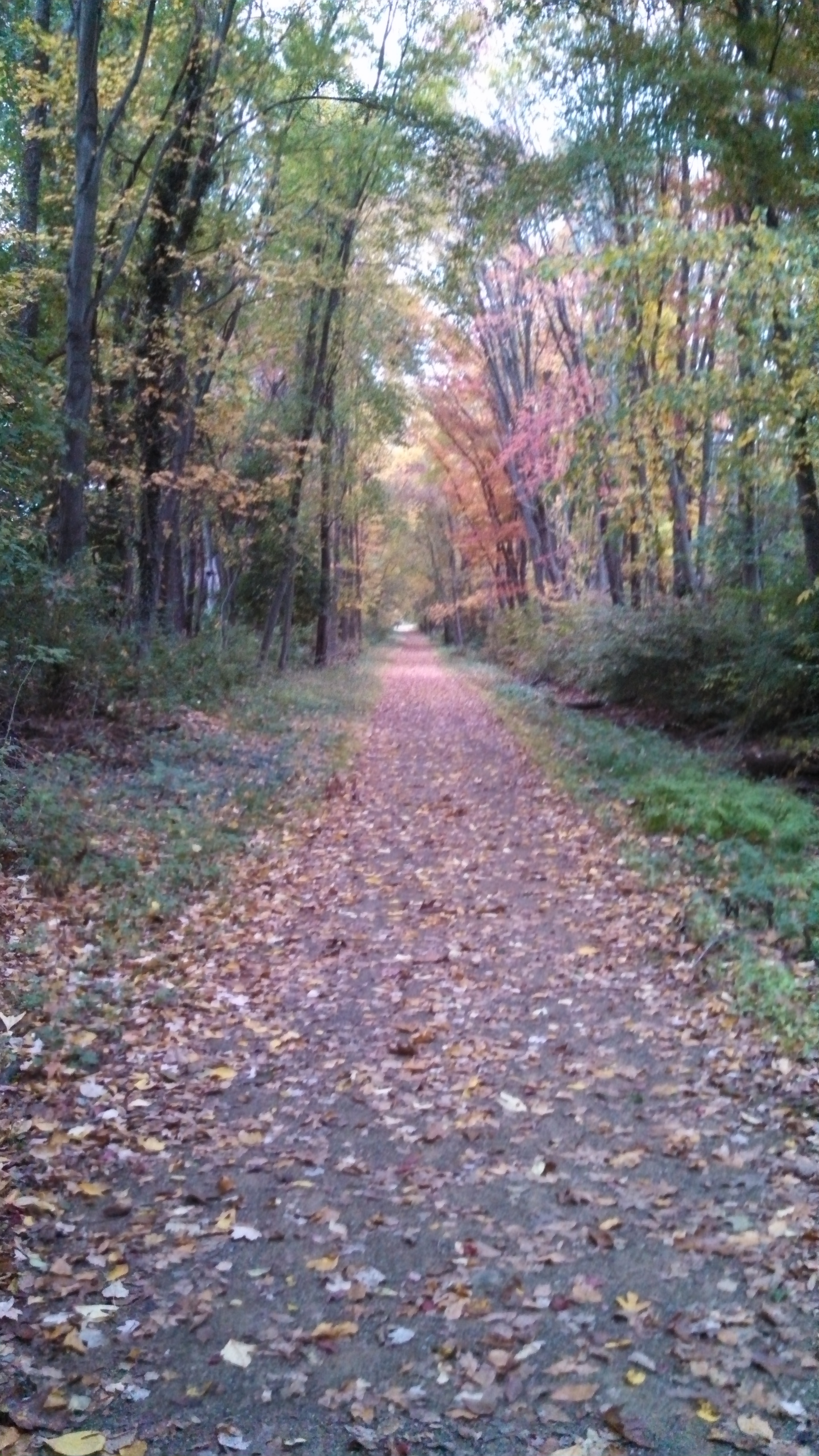 IMG_20131017_072201_002