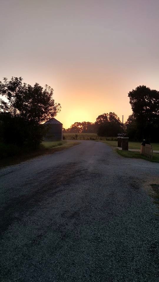 11377201_803295936457211_2046413684878882858_n