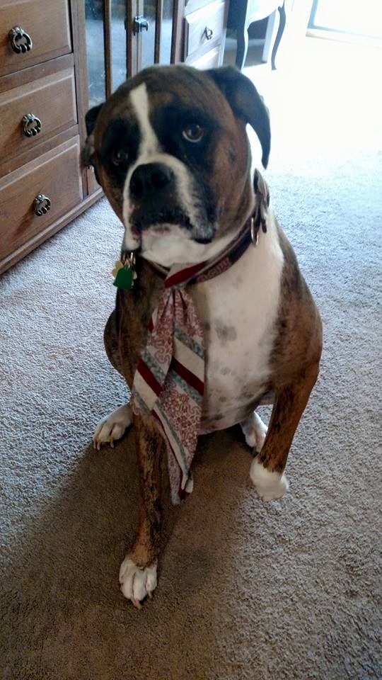 11412107_805863302867141_8319944448373187931_n