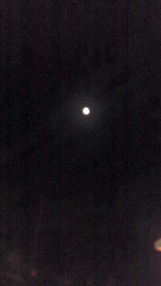 10409241_813597742093697_1870351390603205158_n