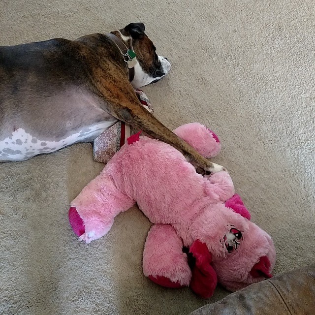 11072955_783597775093694_4690279048497626679_n