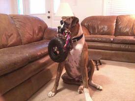 11081305_757942574325881_4659270996493877010_n