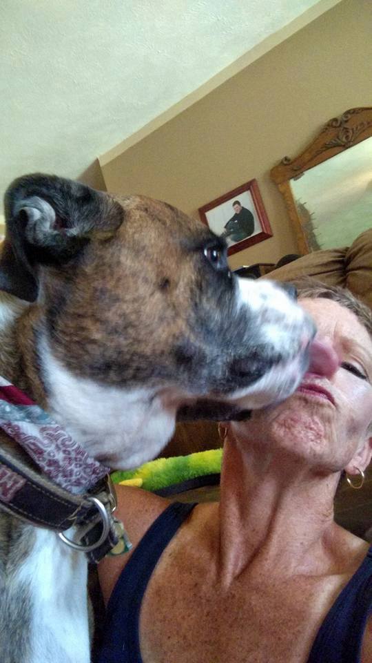 11329956_795013303952141_2875182226006943939_n