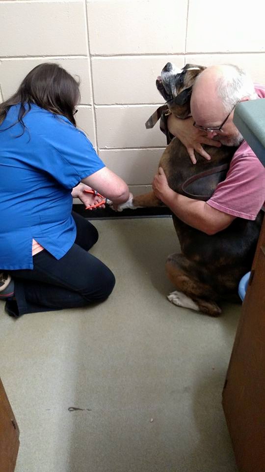 11781802_819502361503235_3167185234914786998_n