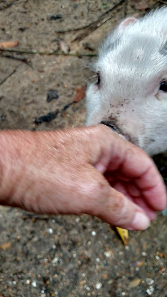 11873358_834673259986145_5318273765926607329_n