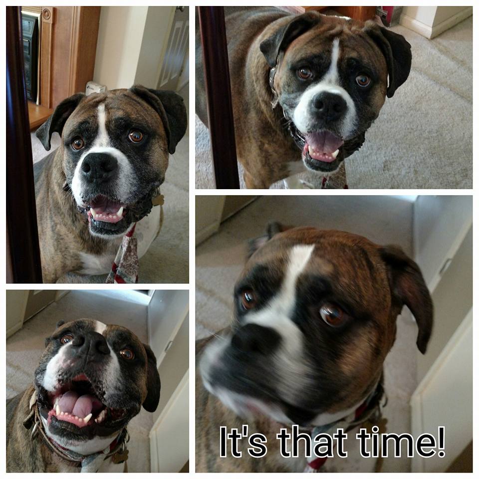 11888082_836799429773528_9091418403332531987_n