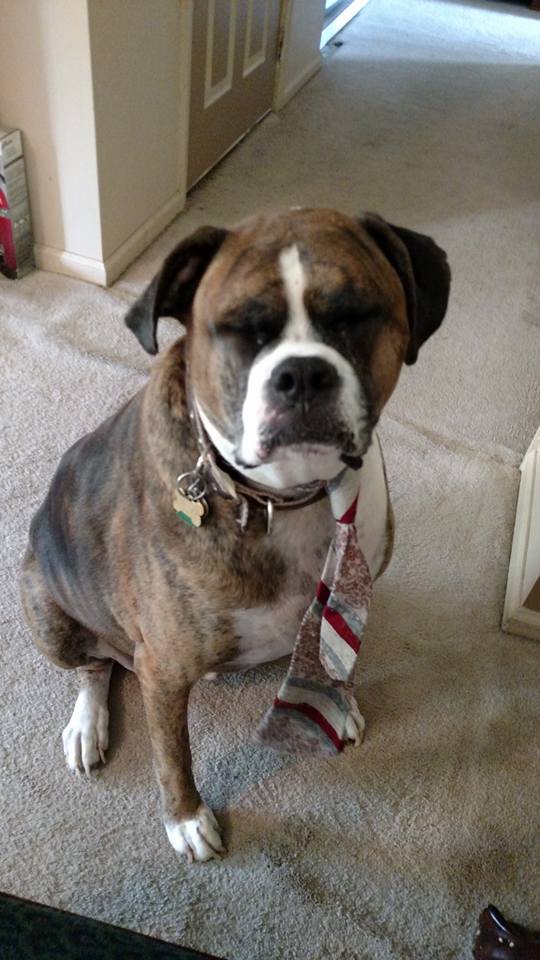 11903911_836314089822062_8922337175857266910_n