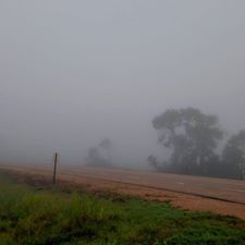 11915117_835821869871284_1412521970733417519_n