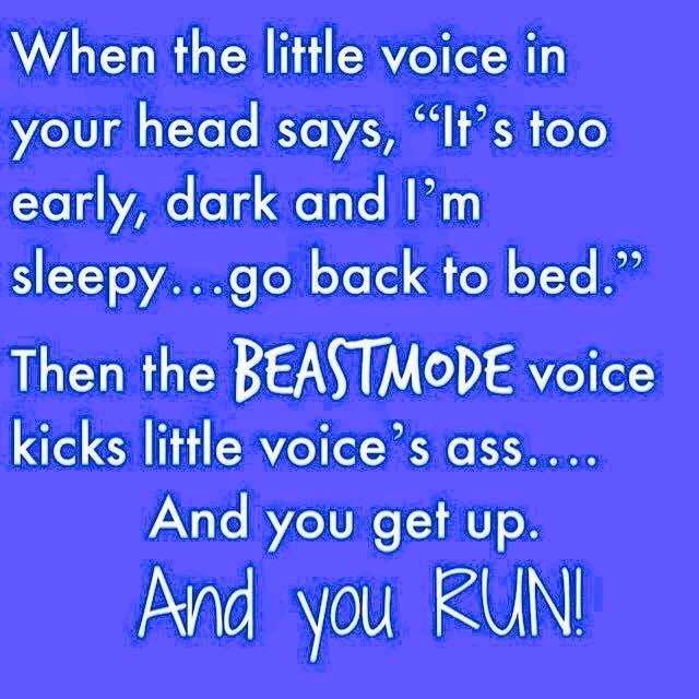 11232716_849280191858785_809145012588539350_n