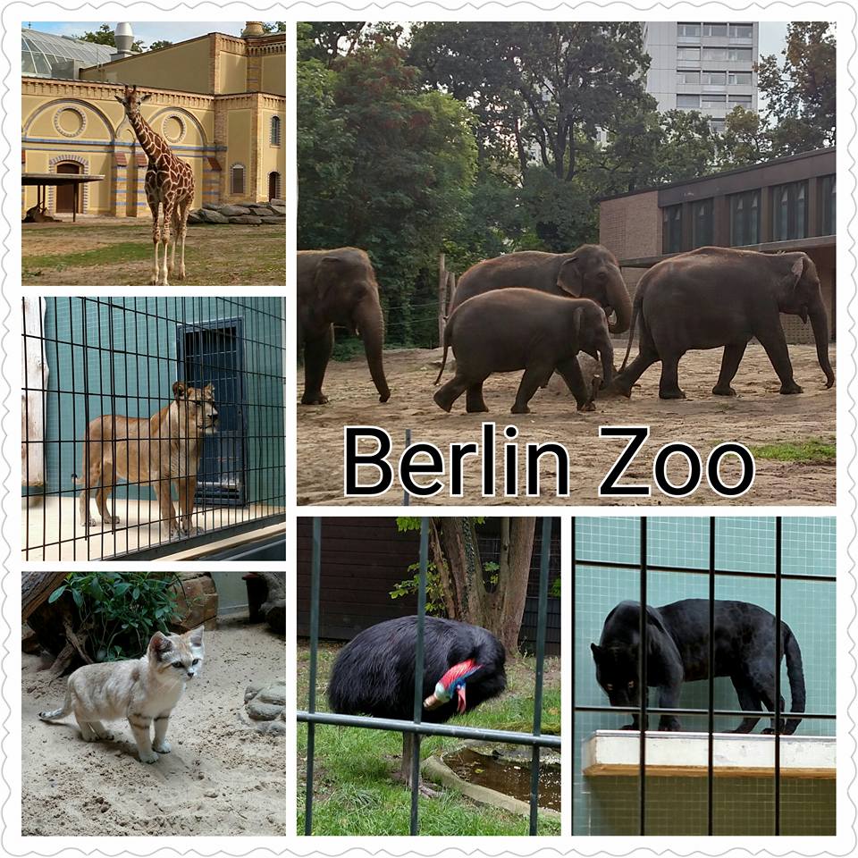 12006332_852658791520925_2373219595183306965_n