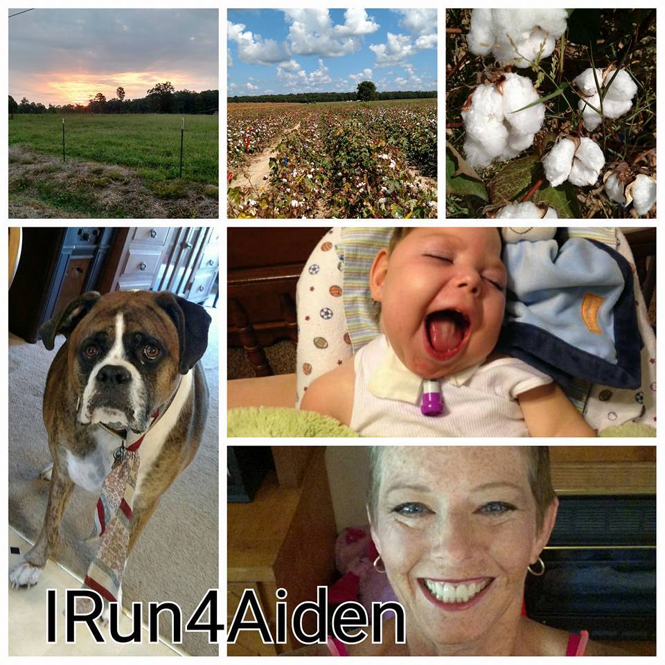 12006351_845239882262816_3690531677210054582_n