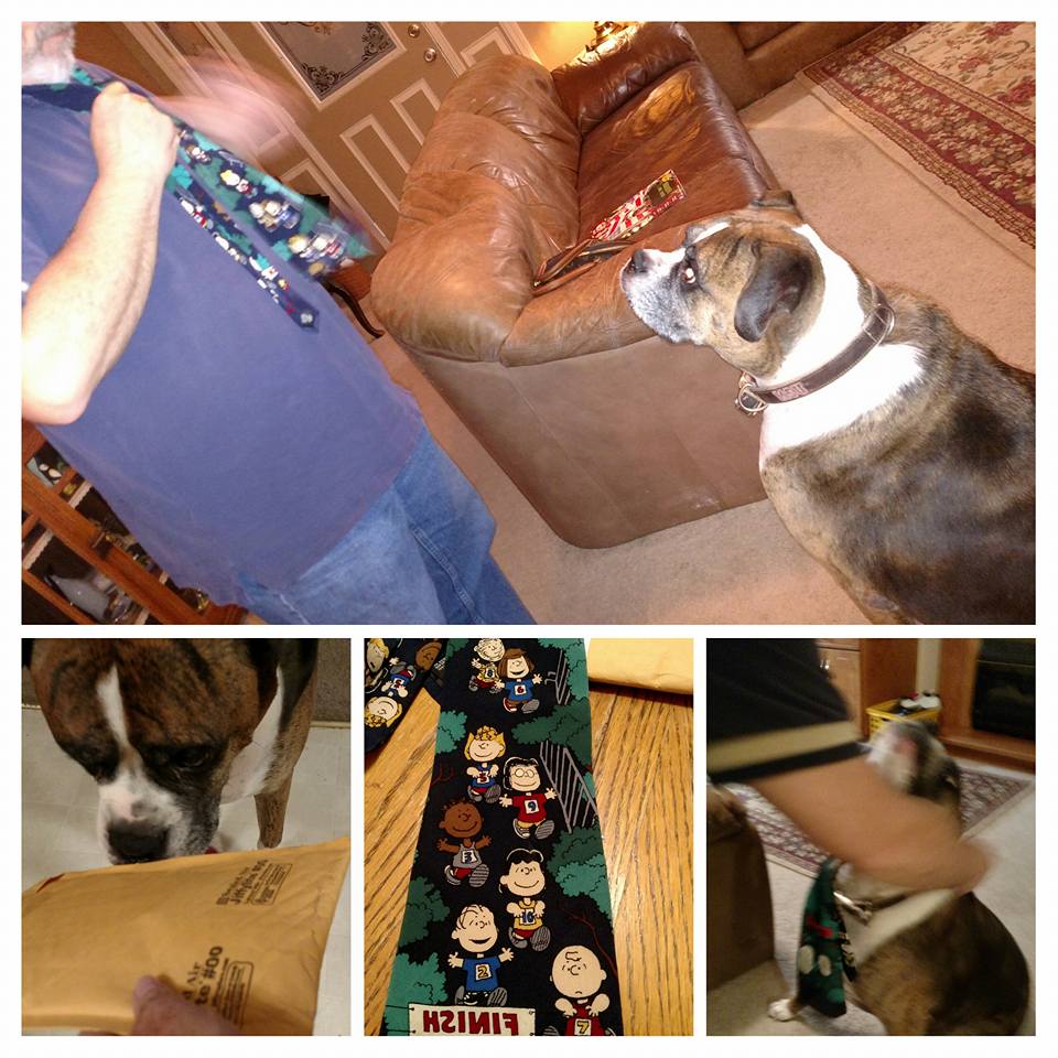 12219416_873809682739169_5193131692143934069_n