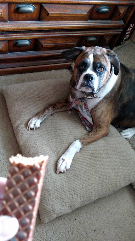 12219508_873308639455940_51106514358142339_n