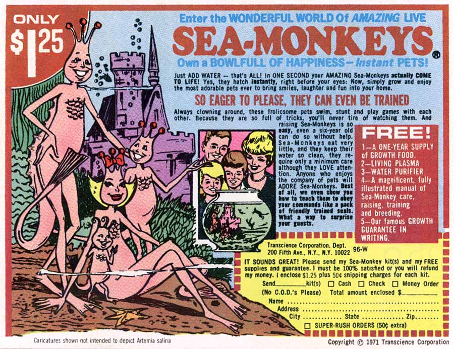 sea_large