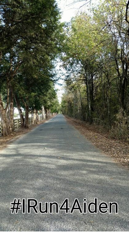 14910519_1133717240081744_8591077631635405547_n