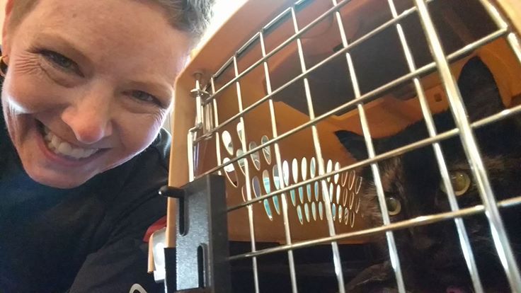 17807393_1290191784434288_5206385026823727279_o